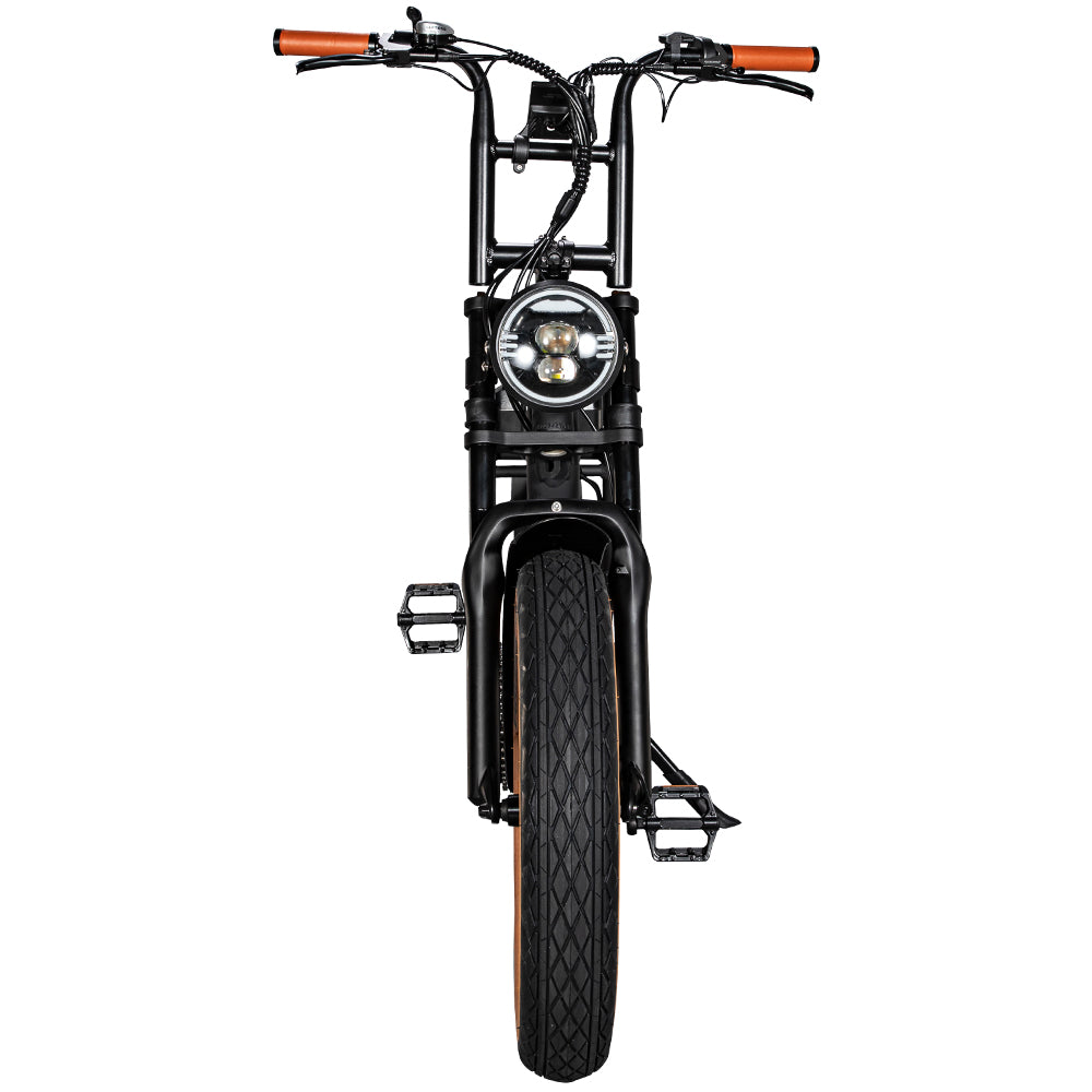 MEGA DEAL: EB2 fatbike -  Bruin